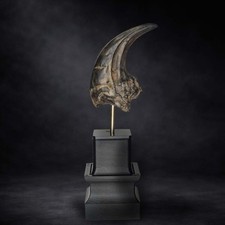 Carcharodontosaurus Replica