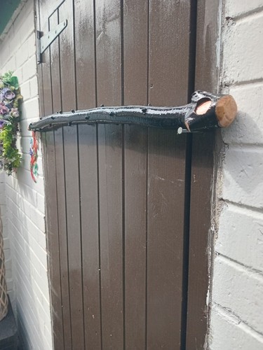 Irish blackthorn stick - , 36