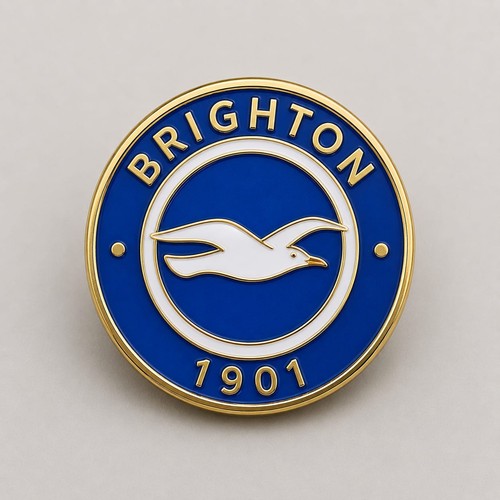 Brighton pin badge - pin,