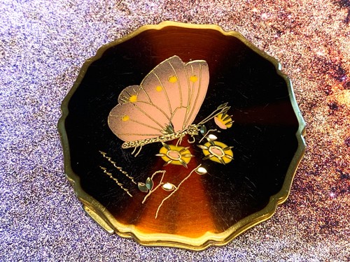 Stratton princess butterfly - stratton,