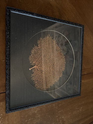 Sea fan coral shadowbox wall - shadowbox,