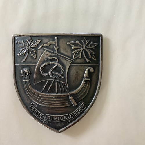 University college nurses - nurses, belt