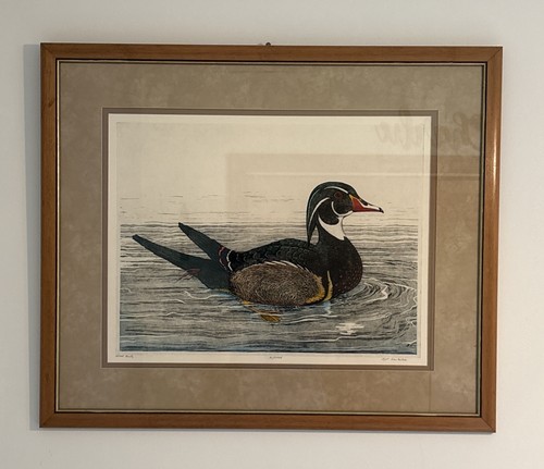 Vintage rare wood duck oil - duck,