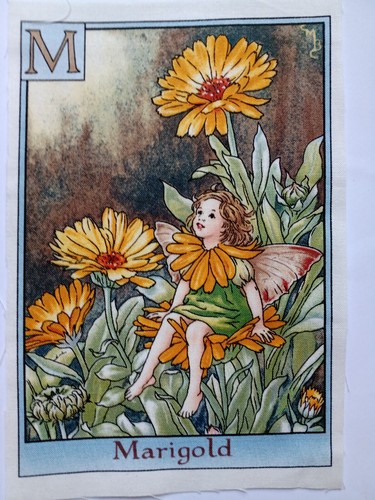 Marigold alphabet - marigold,