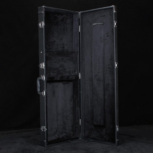 Electric bass guitar - bass, case