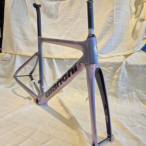 Bianchi aria disc frameset - disc,