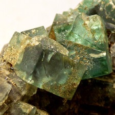 Green Fluorite Cluster Heights Quarry Weardale UK Mineral Specimen 7cm
