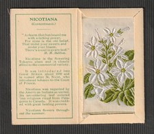 Wix kensitas tobacco small - tobacco,