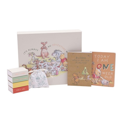 Disney winnie the pooh - disney,