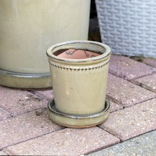 Grey glaze ceramic plant - grey,