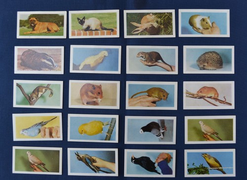Horniman tea pets - tea,