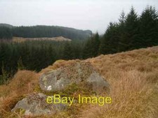 Photo 6x4 forest ride looking - photo,