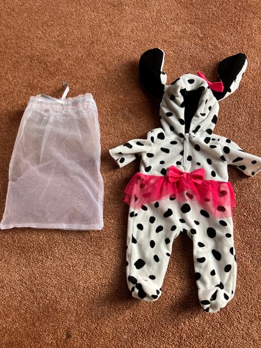 Tiny treasures dalmation