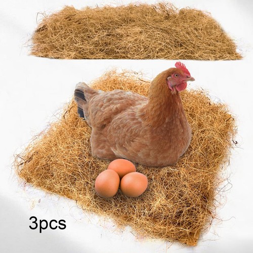 Chicken coop pads laying - chicken,