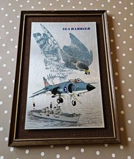 British Sea Harrier plane