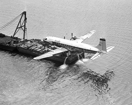 Flying tiger ferry service - tiger,