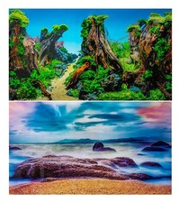 Aquarium Fish Tank Background