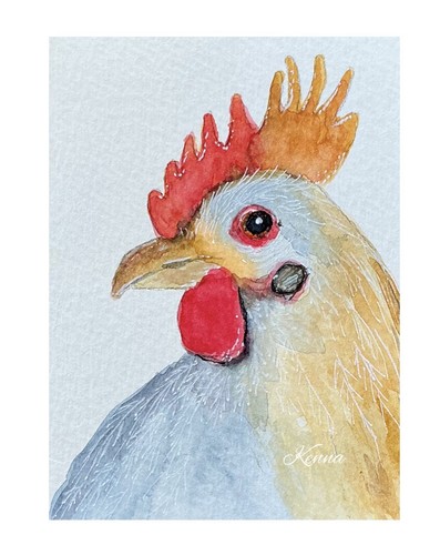 Aceo kenna watercolour - aceo,