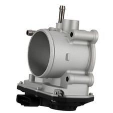 Fuel Injection Throttle Body