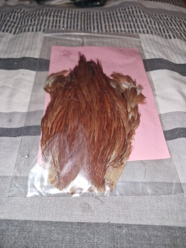 Cock cape fly tying - cock,