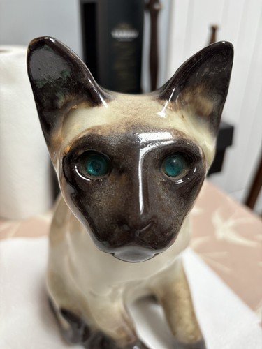 Winstanley siamese cat size - cat,
