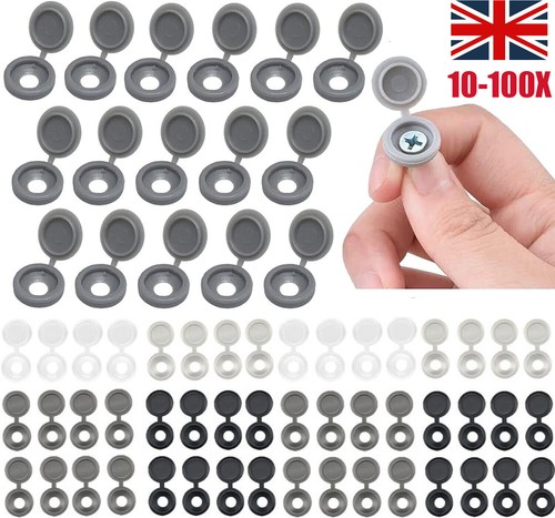 100x plastic hinged - plastic,