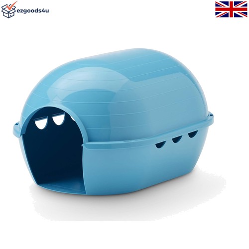 Spacious blue guinea - spacious,