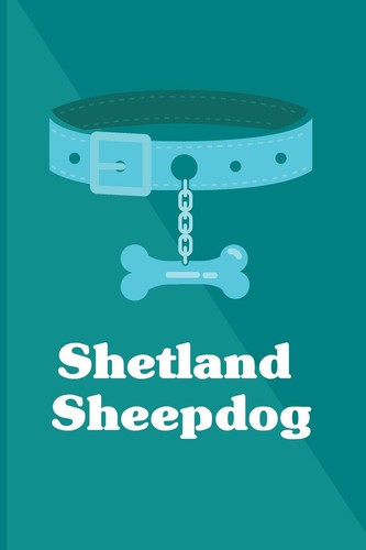 Shetland sheepdog dog - shetland, breed