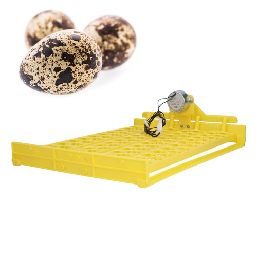 Aegg turning tray safe - tray,