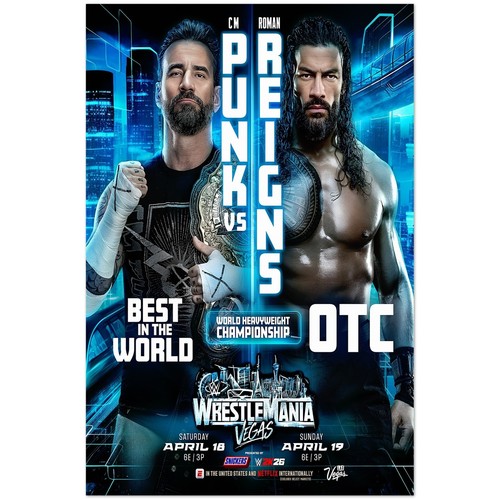 Punk roman reigns - roman,