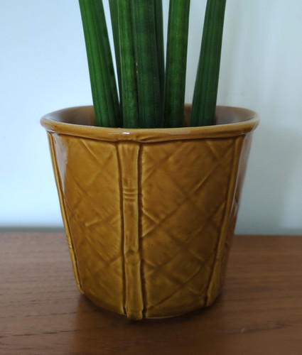Vintage churchill plant - churchill, pot