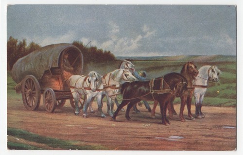Covered horse wagon cowboy - covered,