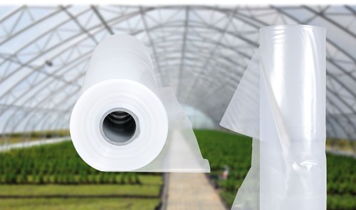 Clear film poly tunnel - poly,