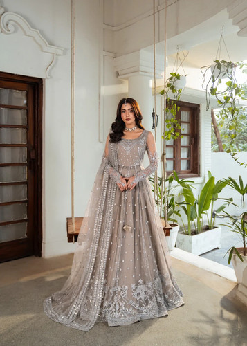 Wedding party wear pakistani - party,