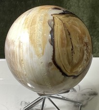 Crystal White Petrified Wood