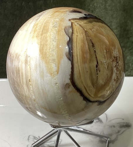 Crystal white petrified wood - crystal,