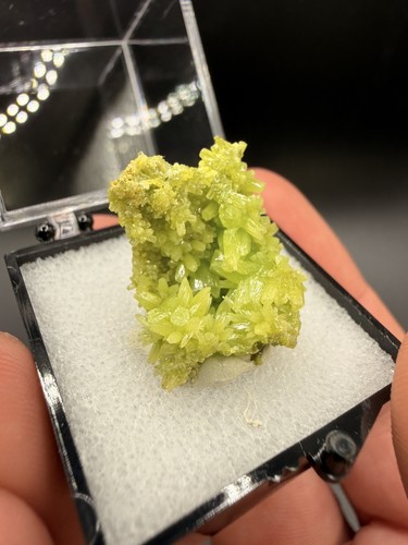 Vibrant lime green - vibrant,