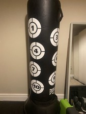 Ever last Punching Bag (great
