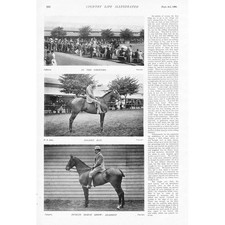 The Dublin Horse Show 2x