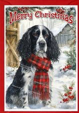 English Springer Spaniel Dog