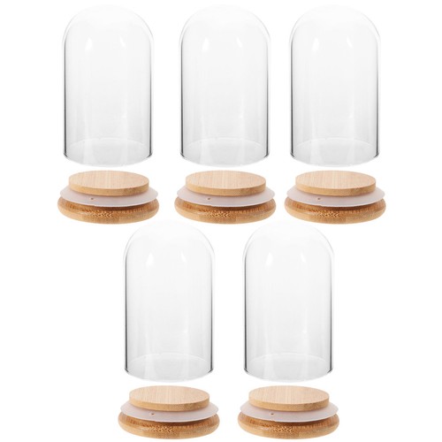 Pcs glass display dome with - pcs,