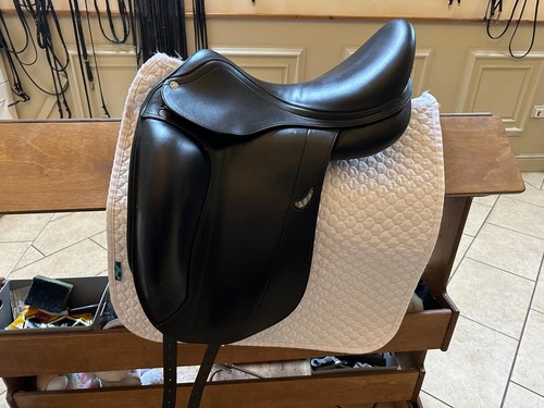 Equipe emporio dressage - emporio,