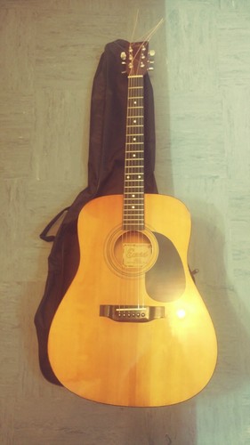 Encore accoustic electric 10w - encore, accoustic/electric/10w