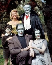 THE MUNSTERS MOVIE PHOTO Poster Print 24x20" beautiful pic 264080