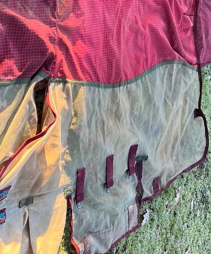 Premier equine fly rug - equine,