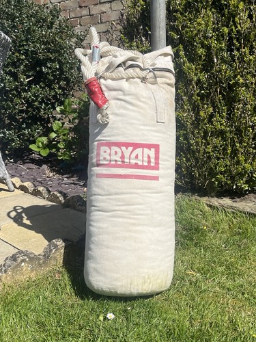 Bryan canvas boxing - canvas, punching