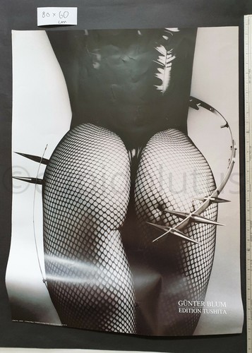 Günter blum woman - woman, fishnet