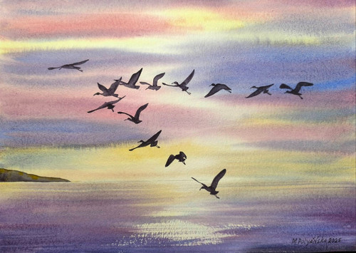 Berds flying cloudy sky - flying,