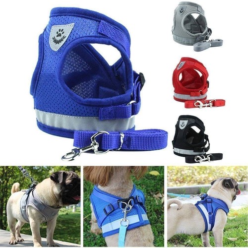 Pet dog harness nylon puppy - harness,