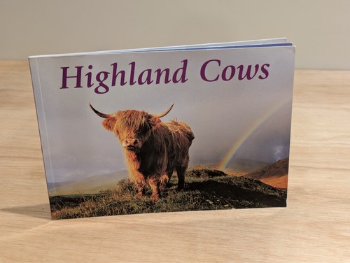Highland cows photobook - photobook,